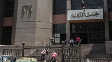 4 وظائف شاغرة.. مجلس الدولة يبدأ استقبال طلبات التعيين في تخصصات متنوعة